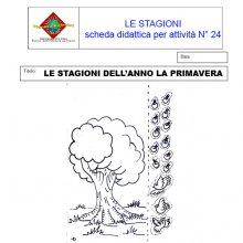 image scheda_didattica_n17-jpg