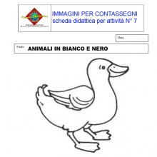 image scheda_didattica_n07-jpg