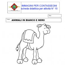 image scheda_didattica_n15-jpg