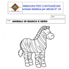 image scheda_didattica_n24-jpg